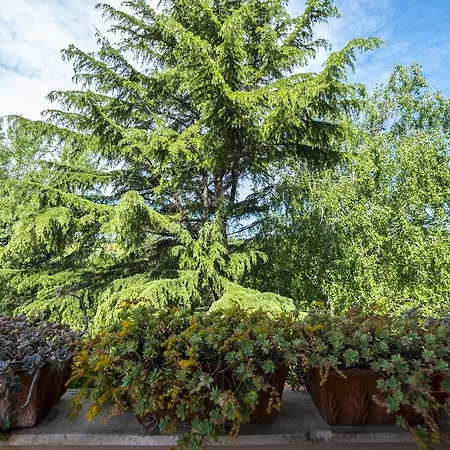 Acque Lucenti Sacrofano