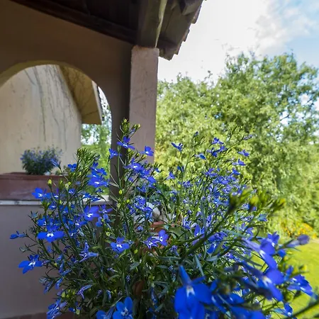 Acque Lucenti * Sacrofano