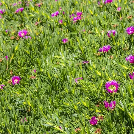 Acque Lucenti Casa vacanze Sacrofano