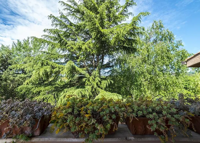 Acque Lucenti Sacrofano