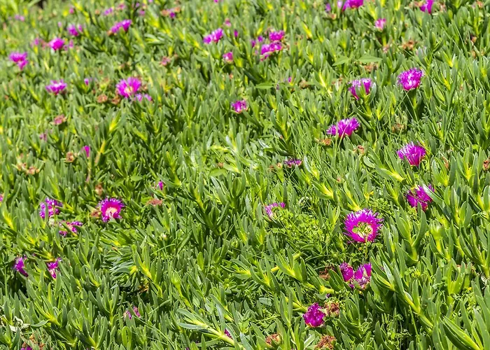 Acque Lucenti Σπίτι διακοπών Sacrofano